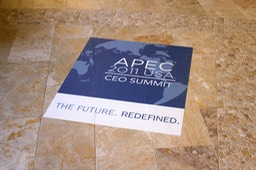 APEC 2011 Summit Floor Graphic
