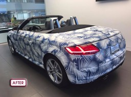 Audi TT After DRI Back2•