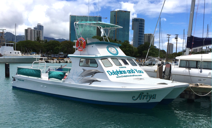 Dolphins & You Boat mockup ver1•••