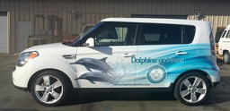 Dolphins&You Kia Soul Dri installed