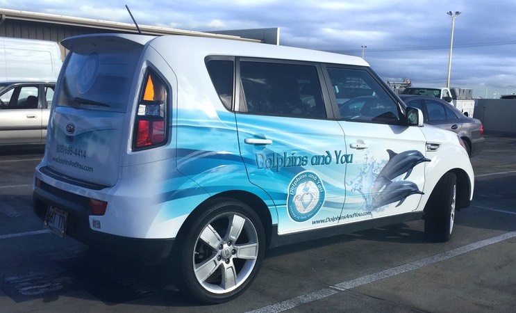 Dolphins&You Kia Soul Pas2 installed