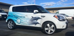 Dolphins&You Kia Soul Pas installed