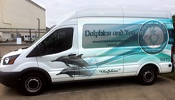D&Y Dolphina Bus MG_8093•••