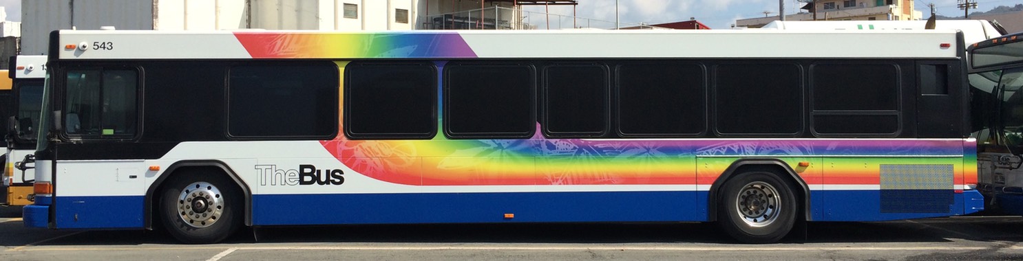 Gillig Low floor Driver pic