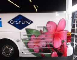 Polynesian Adventures Bus Closeup1•