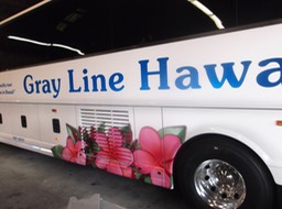 Polynesian Adventures Bus Closeup2•