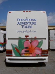 Polynesian Adventures Bus Rear•