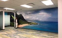 Sprint Mural Makapu CS-2•